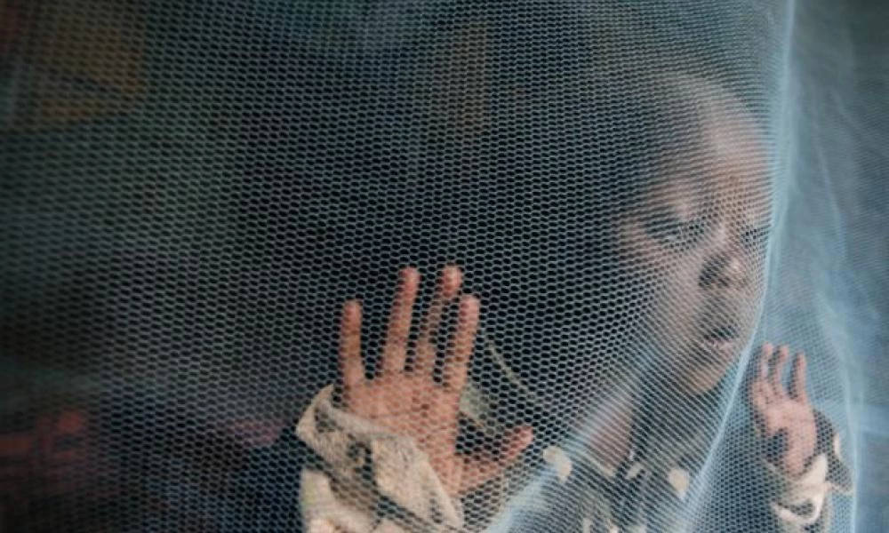 ΠΟΥ: Η ελονοσία θα σκοτώσει περισσότερους στην Αφρική απ’ ό,τι ο κορονοϊός